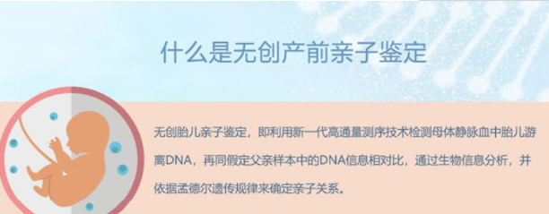 宁波刚怀孕怎么确认孩子生父是谁,宁波孕期亲子鉴定收费多少钱